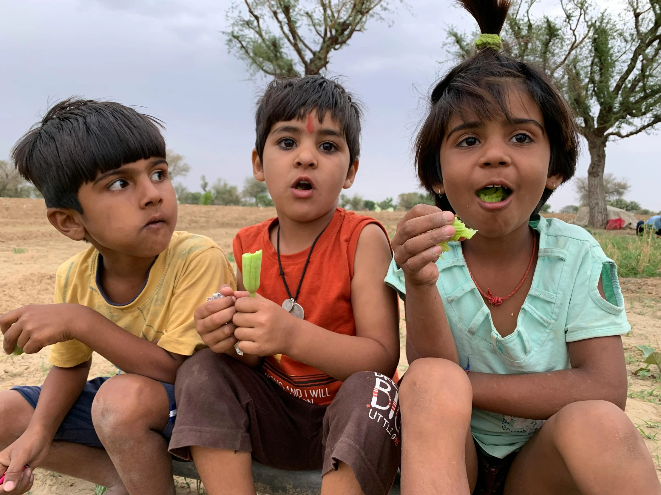 three children sitting on the ground eating food, by Jessie Algie, pexels contest winner, samikshavad, uluru, green saliva, with village, eating ice - cream