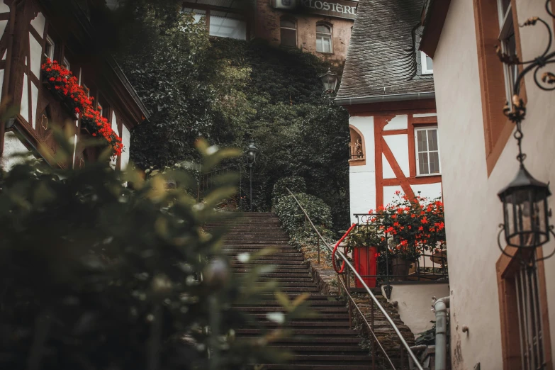 a set of stairs leading up to a building, a tilt shift photo, pexels contest winner, german romanticism, quaint village, red and white flowers, covered in vines, streetscapes