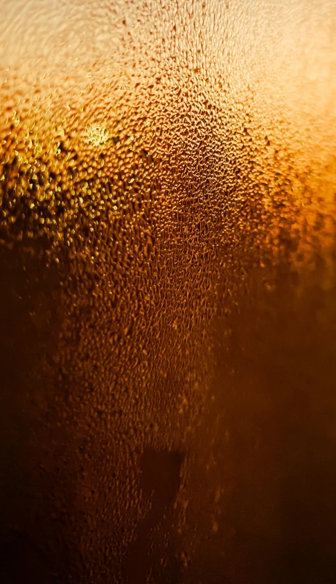 a close up of a glass of beer, an album cover, unsplash, soft light.4k, jelly - like texture. photograph, gold-shot, shot on sony a 7