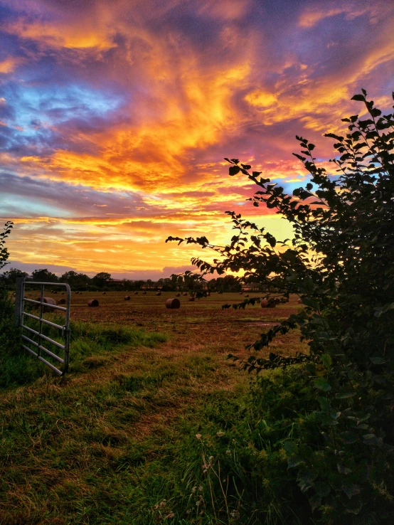 a field with a fence and a sunset in the background, a picture, by Rachel Reckitt, happening, with vibrant sky, lush farm lands, fire in the sky, today\'s featured photograph 4k