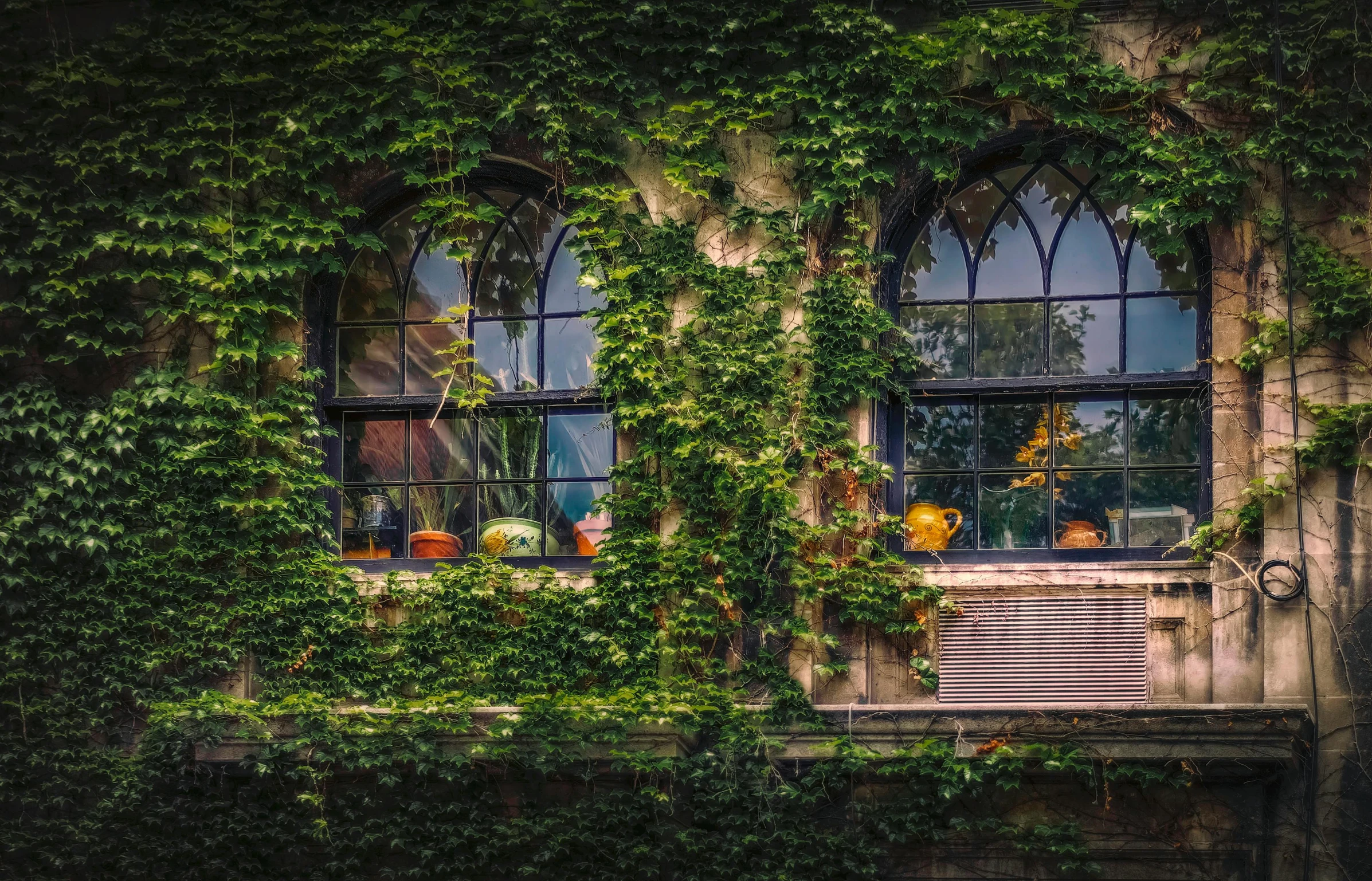 a window covered in vines next to a building, a photo, pexels contest winner, arts and crafts movement, gourds, glass domes, in style of joel meyerowitz, gothic building style