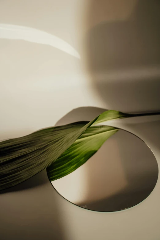 a white toilet with a green leaf sticking out of it, an abstract sculpture, trending on pexels, made of silk paper, rim light smooth, botanical photo, silver，ivory