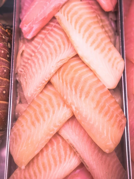 a display case filled with lots of different types of fish, trending on unsplash, precisionism, covered in pink flesh, a pair of ribbed, thumbnail, lo fi