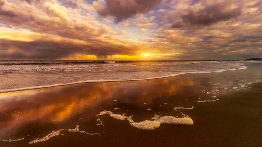 a large body of water sitting on top of a sandy beach, by Daniel Seghers, unsplash contest winner, sunset clouds, gold refractions off water, new zealand, omaha beach