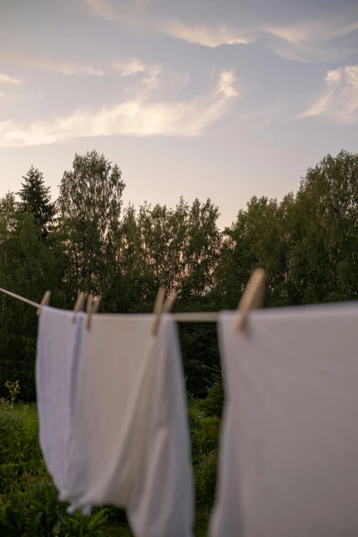 clothes hanging on a clothes line with trees in the background, by Anna Haifisch, unsplash, evening sky, towels, low quality photo, swedish countryside