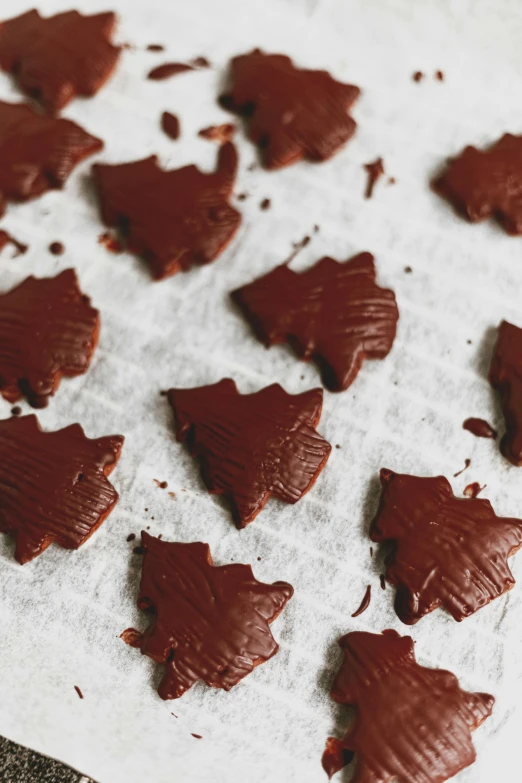 several pieces of chocolate sitting on top of a sheet of paper, by Nicolette Macnamara, hurufiyya, oak leaves, baking cookies, thumbnail, chocolate frosting