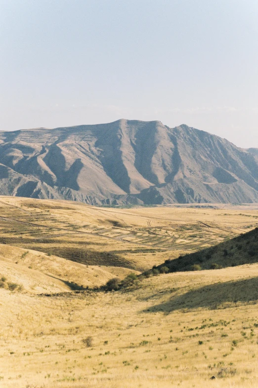 a herd of cattle standing on top of a dry grass covered field, by Muggur, giant crater in distance, taken with kodak portra, tall mountains, landscape photograph