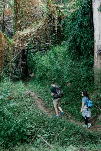 a couple of people that are walking on a trail, a picture, happening, overgrown jungle ruins, vietnam, neighborhood, u
