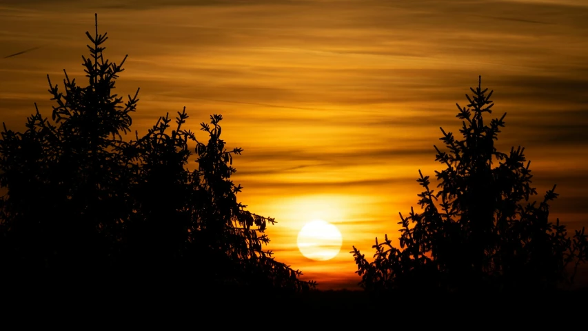 the sun is setting behind some trees, by Peter Churcher, pexels contest winner, romanticism, orange sun set, fine art print, yellow sky, night time