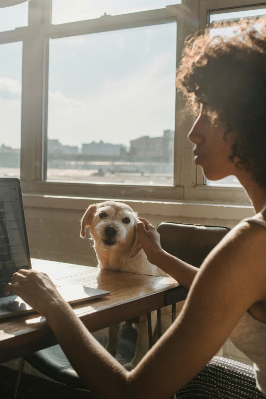 a woman sitting at a table with a laptop and a dog, profile image, unbeatable quality, ashteroth, craigslist photo