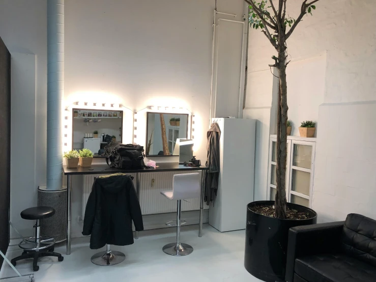 a living room filled with furniture and a tree, a photo, hurufiyya, make-up, utrecht, white room, commercially ready