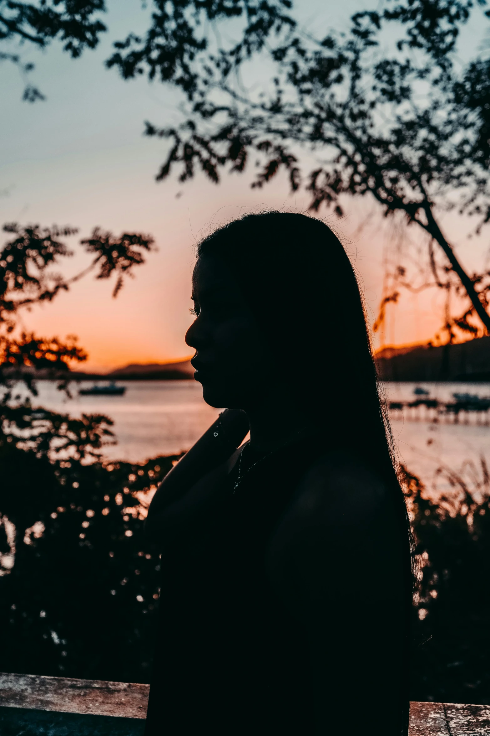 a woman standing in front of a body of water, during sunset, shadowed face, outlined silhouettes, young woman with long dark hair