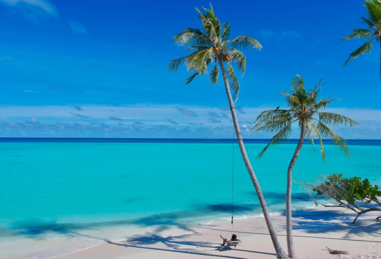 a couple of palm trees sitting on top of a sandy beach, swing on a tree, light blue water, helicopter view, ben nicholas