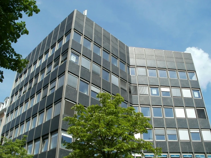 a very tall building with a lot of windows, a picture, flickr, bauhaus, office ceiling panels, lit. 'the cube', slightly sunny, central tree