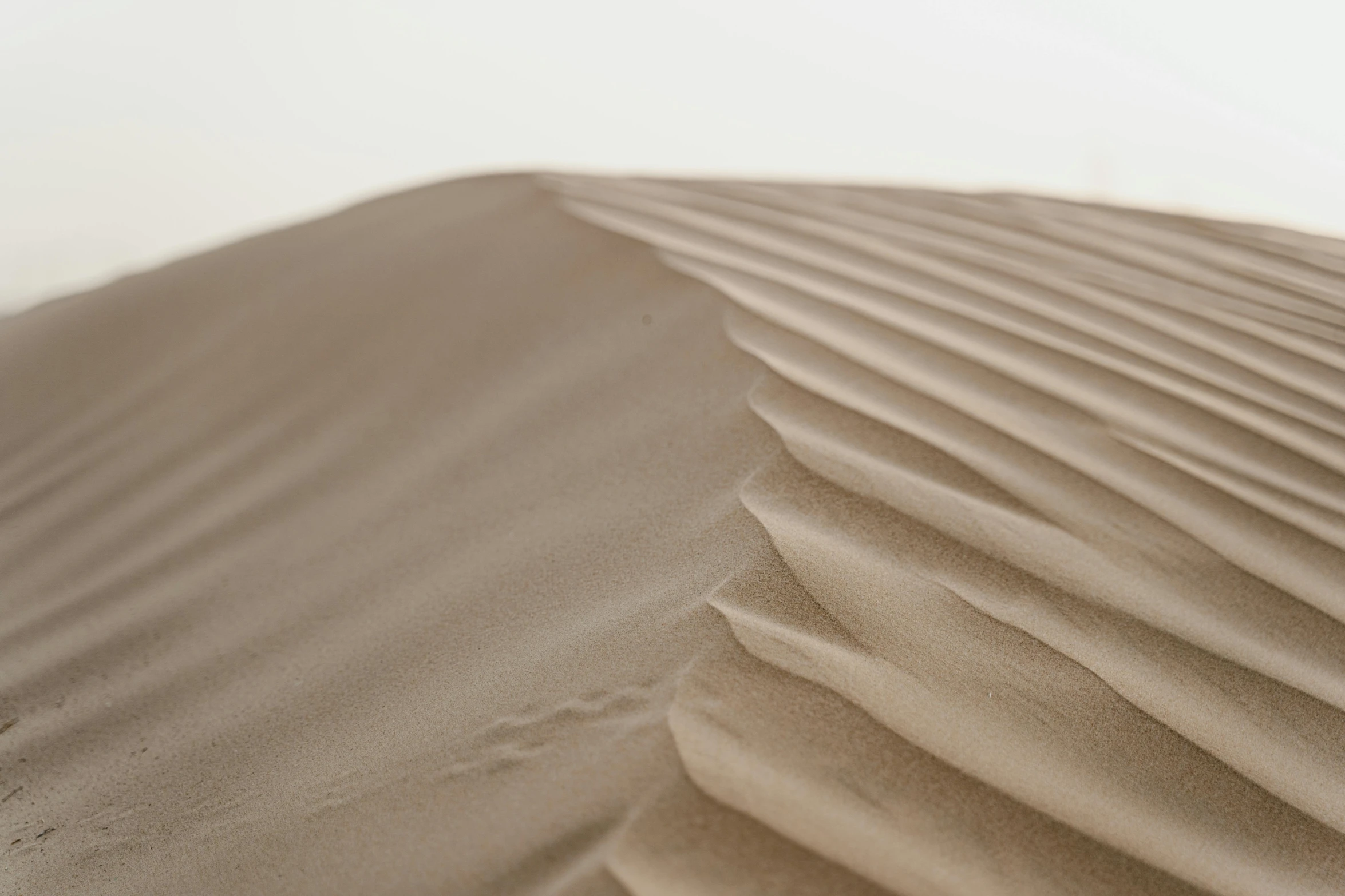 a person standing on top of a sand dune, subtle detailing, intricate lining, close - up photograph, taupe