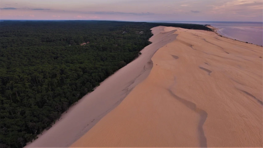 an aerial view of a wide sandy beach, by Daniel Seghers, overlooking a vast serene forest, jodorwoski's dune, dusk setting, instagram photo