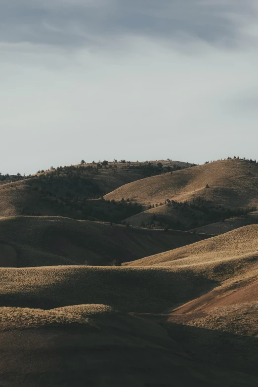 a couple of brown hills sitting in the middle of a field, unsplash contest winner, rolling foothills, subtle shadows, idaho, landslides
