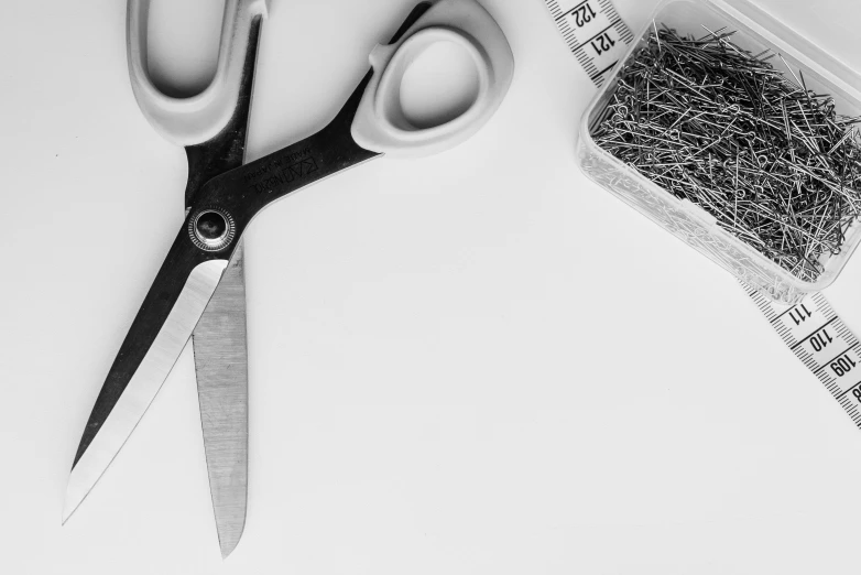 a pair of scissors sitting next to a measuring tape, a black and white photo, pexels, visual art, fabric embroidery, white backround, cinematic outfit photo