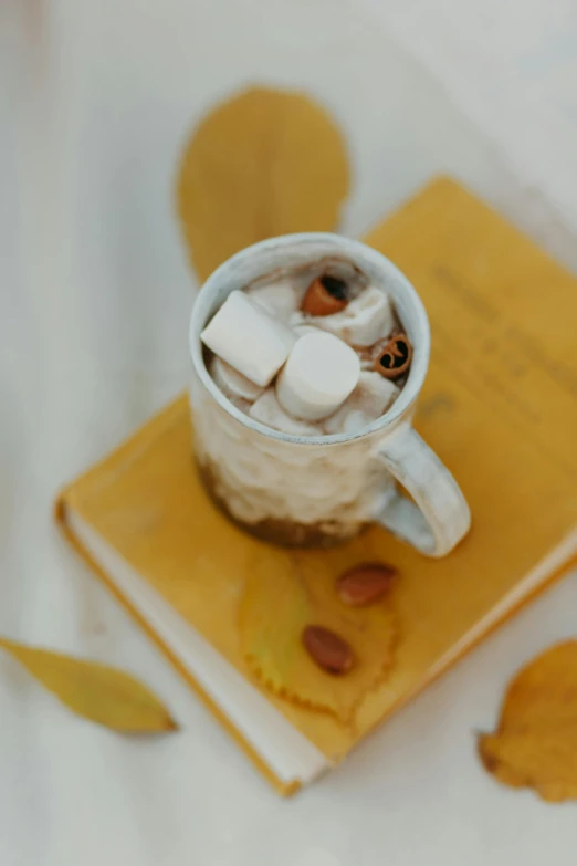 a cup of hot chocolate sitting on top of a book, a portrait, inspired by Muggur, trending on pexels, square, fall season, marshmallows, thumbnail