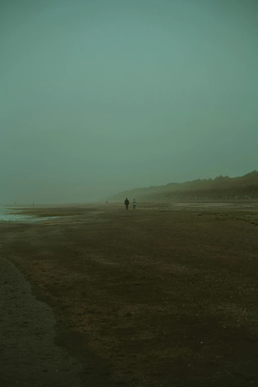 a couple of people standing on top of a sandy beach, unsplash, tonalism, green fog, walking to the right, low visibility creepy, taken in the late 2010s