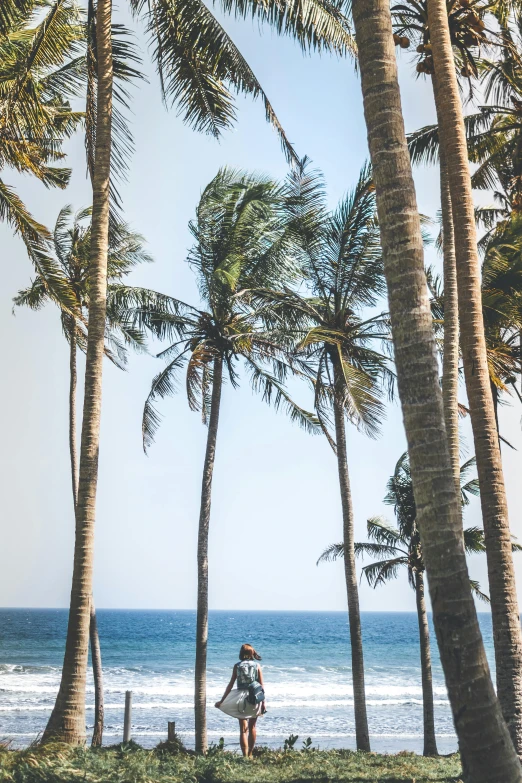 a man riding a surfboard on top of a lush green field, palm trees on the beach, sitting under a tree, views to the ocean, jakarta