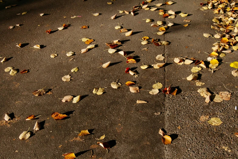a fire hydrant sitting on the side of a road covered in leaves, an album cover, inspired by Elsa Bleda, photorealism, polished concrete, brown, lying scattered across an empty, sunrise light