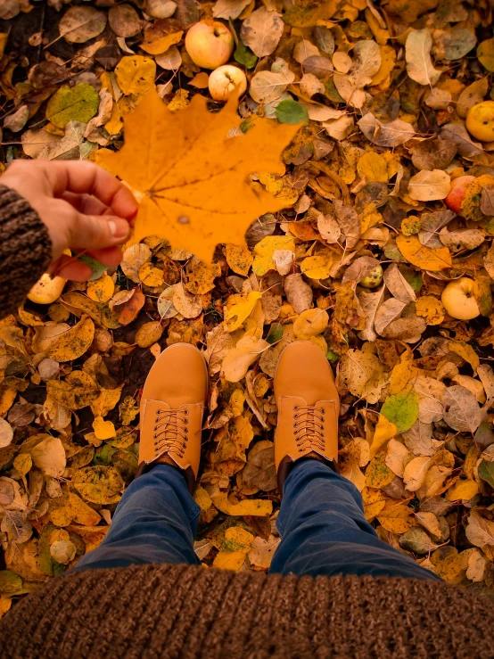 a person standing on top of a pile of leaves, pexels contest winner, wears brown boots, yellow carpeted, pov photo, 🍂 cute