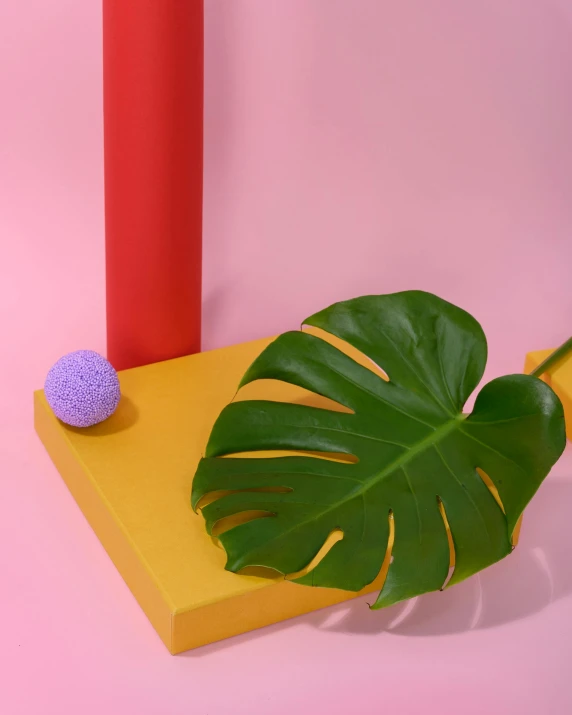 a green leaf sitting on top of a yellow table, an abstract sculpture, inspired by George Aleef, vaporwave jungle, paddle and ball, product display photograph, detailed product image