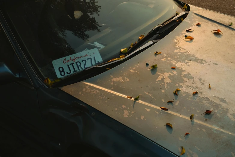 a car that is parked on the side of the road, unsplash, photorealism, broken signs, petals, ignant, fall season