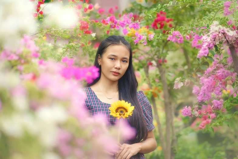 a woman holding a sunflower in a field of flowers, pexels contest winner, young asian girl, avatar image, portrait image, college