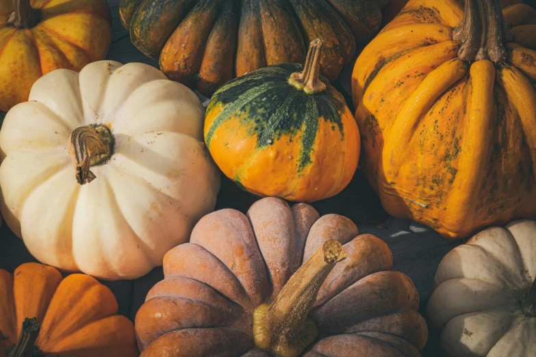 a group of pumpkins sitting on top of a table, by Carey Morris, trending on unsplash, renaissance, 2 5 6 x 2 5 6 pixels, multicoloured, background image, fan favorite