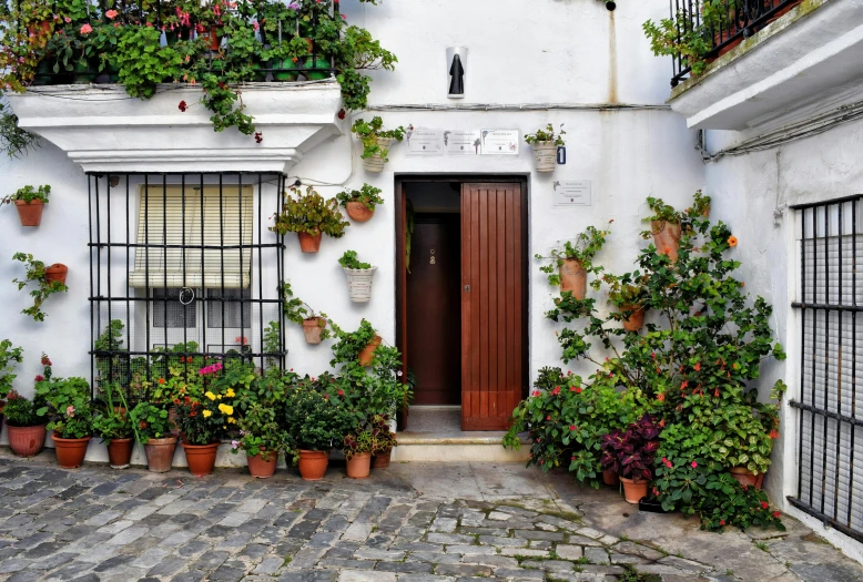 a bunch of potted plants on the side of a building, inspired by Joaquín Torres García, pexels contest winner, arts and crafts movement, white houses, doorway, seen from outside, well preserved