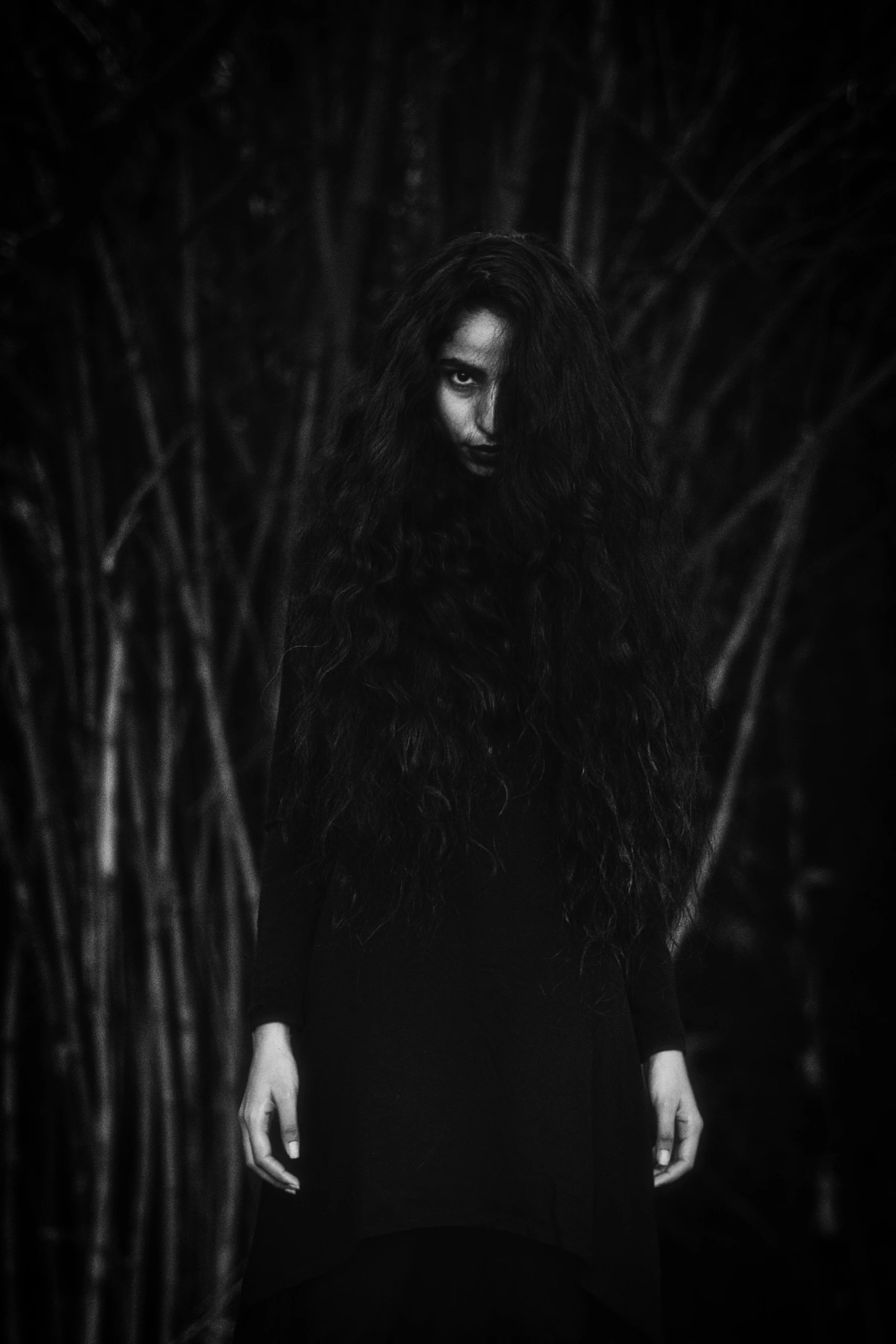 a woman standing in front of a bunch of bamboo trees, inspired by Kati Horna, tumblr, side portrait dark witch, ((portrait)), long raven hair, with haunted eyes and curly hair