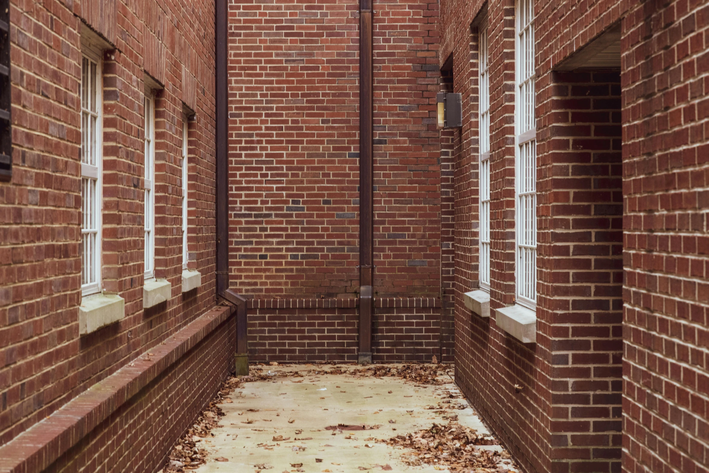 a red fire hydrant sitting on the side of a brick building, by Carey Morris, unsplash, visual art, infinitely long corridors, leaves trap, windows and walls :5, brown