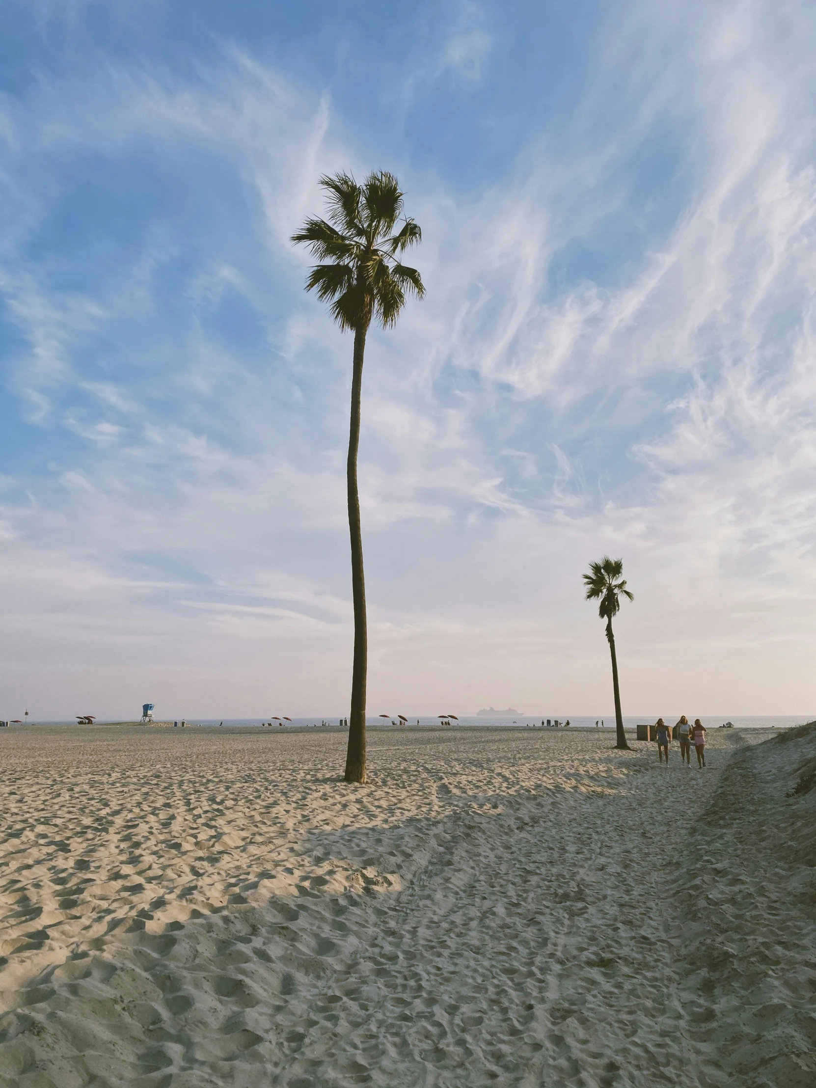 a couple of palm trees sitting on top of a sandy beach, by Ryan Pancoast, unsplash contest winner, venice, profile image, joel sternfeld, late afternoon