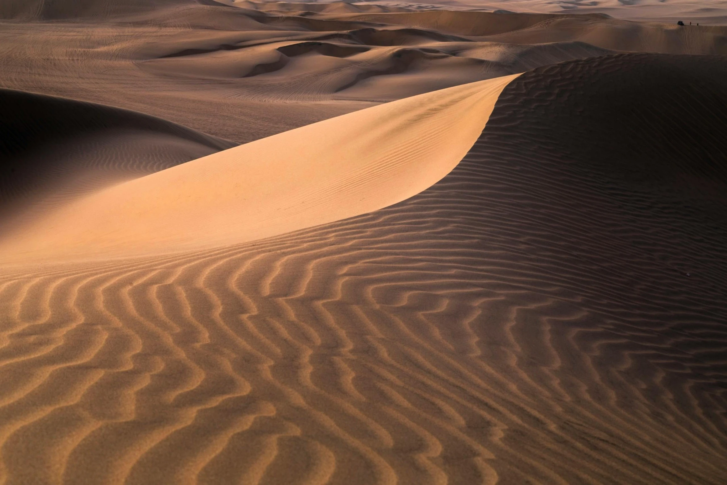 a group of people standing on top of a sand dune, pexels contest winner, land art, subtle patterns, ryan dyar, peru, flowing curves