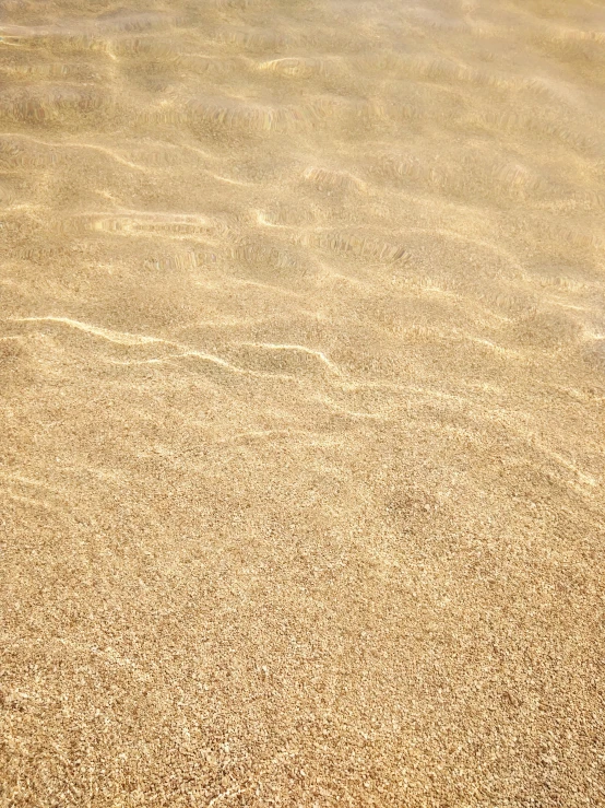 a surfboard sitting on top of a sandy beach, bottom of the ocean, up-close, sandy beige, yellow carpeted