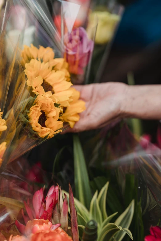 a close up of a person holding a bunch of flowers, yellow flowers, vendors, warm coloured
