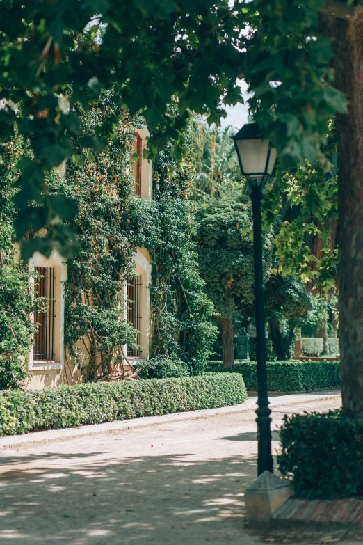 a red fire hydrant sitting on the side of a road, a picture, inspired by Luis Paret y Alcazar, formal gardens, amongst foliage, seville, gas street lamps. country road