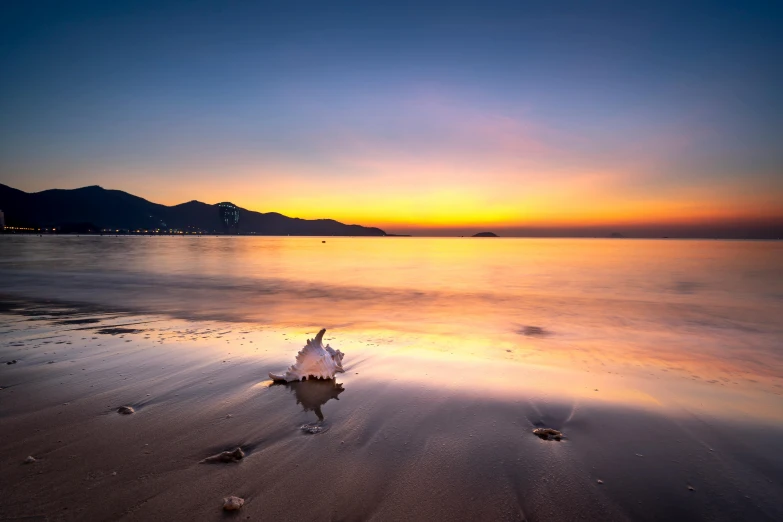 a shell sitting on top of a sandy beach, by Niko Henrichon, unsplash contest winner, distant mountains lights photo, sunset kanagawa prefecture, marbella landscape, wellington