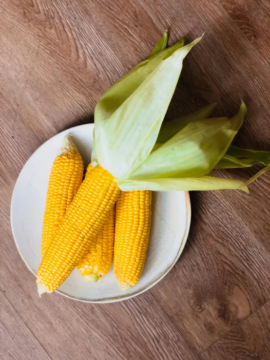 a white plate topped with corn on top of a wooden table, profile image, 王琛, 5k, multiple stories