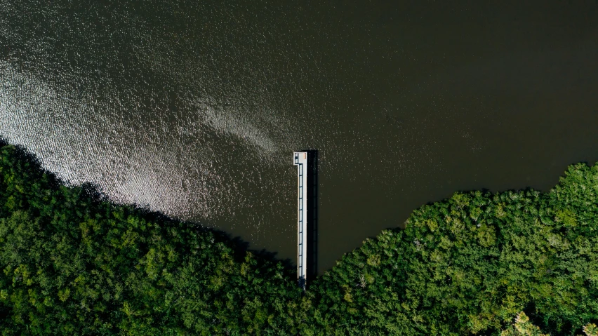 a large body of water next to a forest, by Peter Churcher, pexels contest winner, hurufiyya, sky bridge, satellite imagery, near a jetty, thumbnail