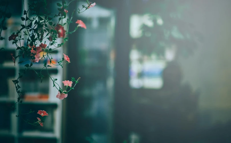 a vase filled with flowers sitting on top of a table, inspired by Elsa Bleda, pexels contest winner, raining outside the cafe, paul barson, ivy vines, unfocused