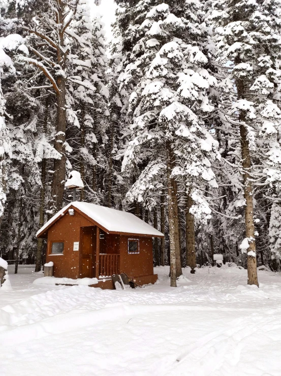 a small cabin in the middle of a snowy forest, a photo, by Jim Nelson, slide show, glamping, thumbnail, yeg