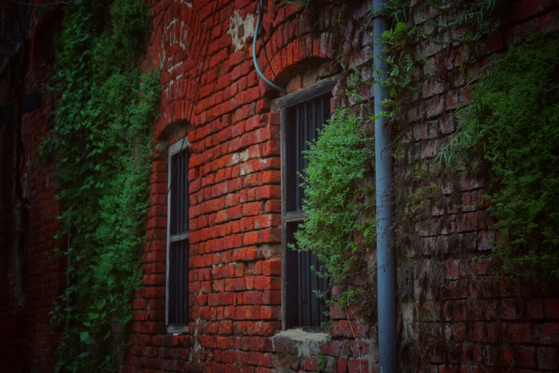 a fire hydrant sitting in front of a brick building, pexels contest winner, australian tonalism, walls are covered with vines, paul barson, house windows, ::