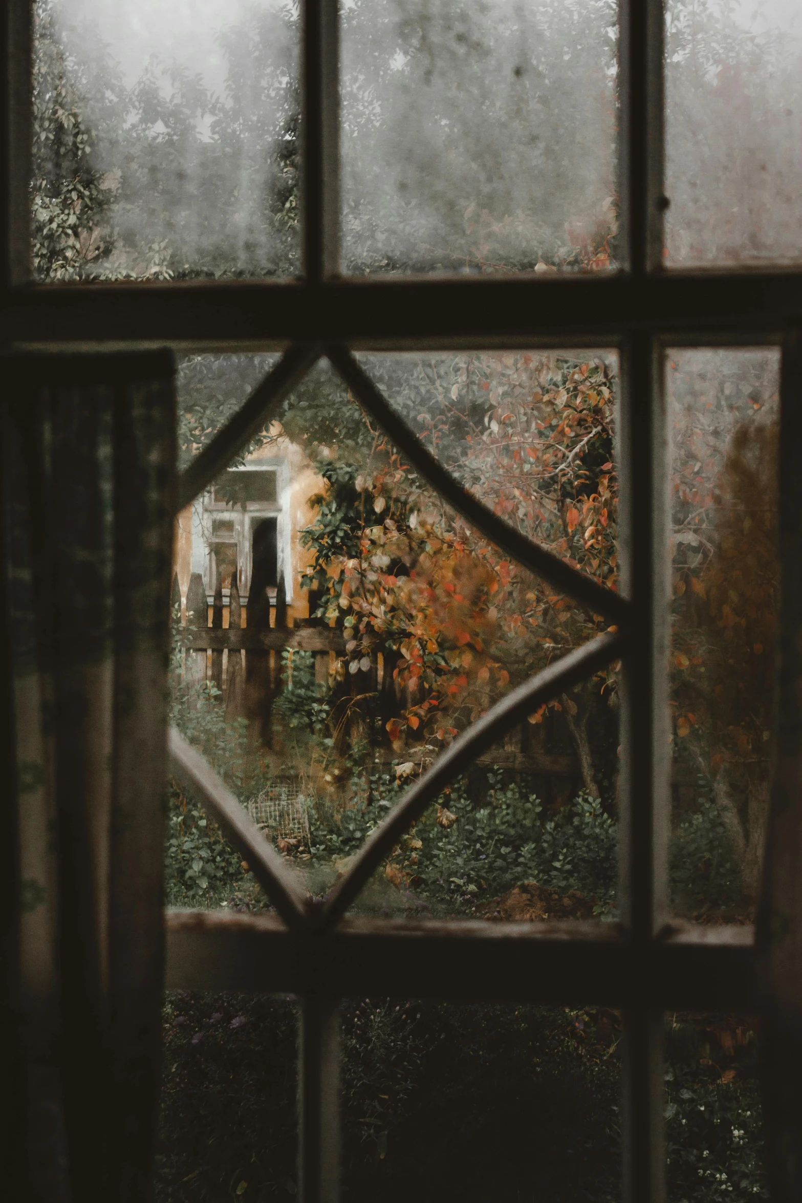 a view of a house through a window, inspired by Elsa Bleda, unsplash contest winner, tonalism, autum garden, broken-stained-glass, promo image, overcast mood