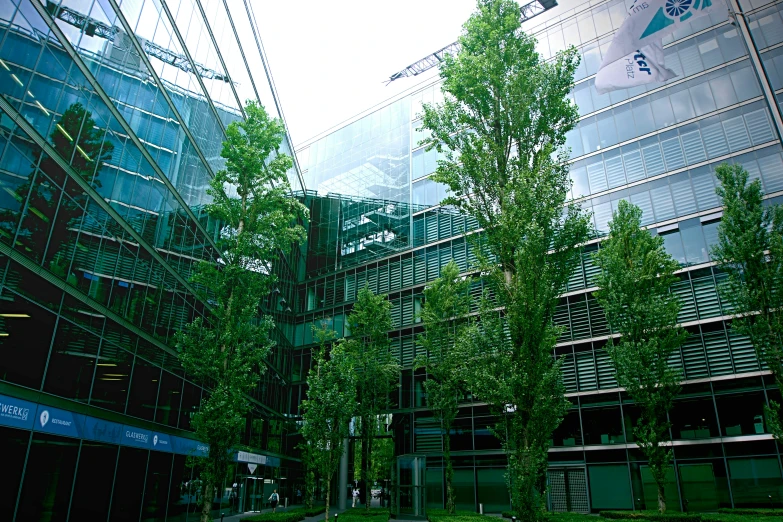 a building with a bunch of trees in front of it, flickr, glass buildings, square enix, hannover, konica minolta