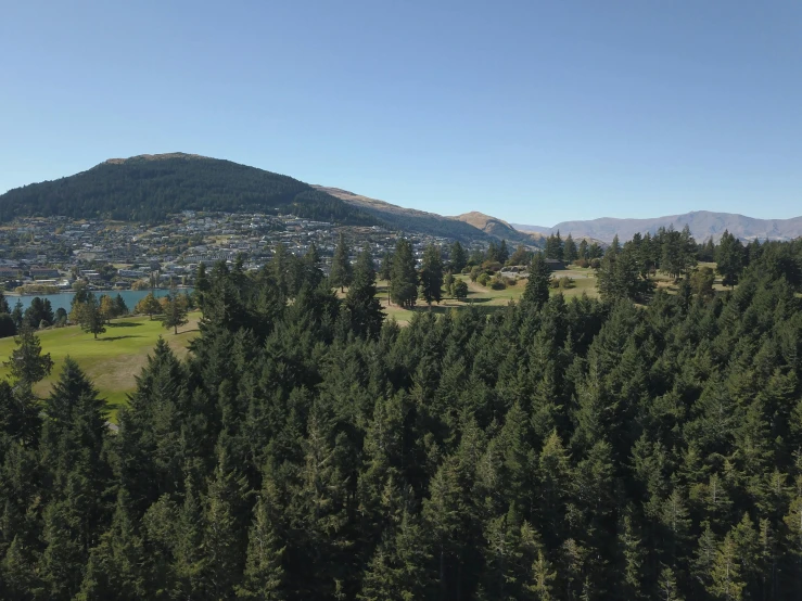 a forest filled with lots of trees next to a lake, by Peter Churcher, unsplash, hurufiyya, aerial view of a city, tawa trees, black fir, trees in the grassy hills