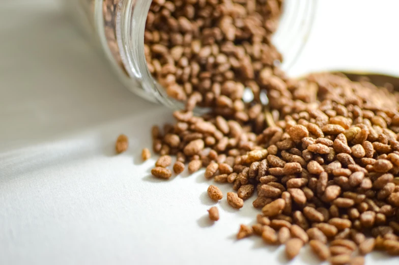 a jar filled with seeds sitting on top of a table, close up of iwakura lain, detailed product image, crispy quality, high detail photo