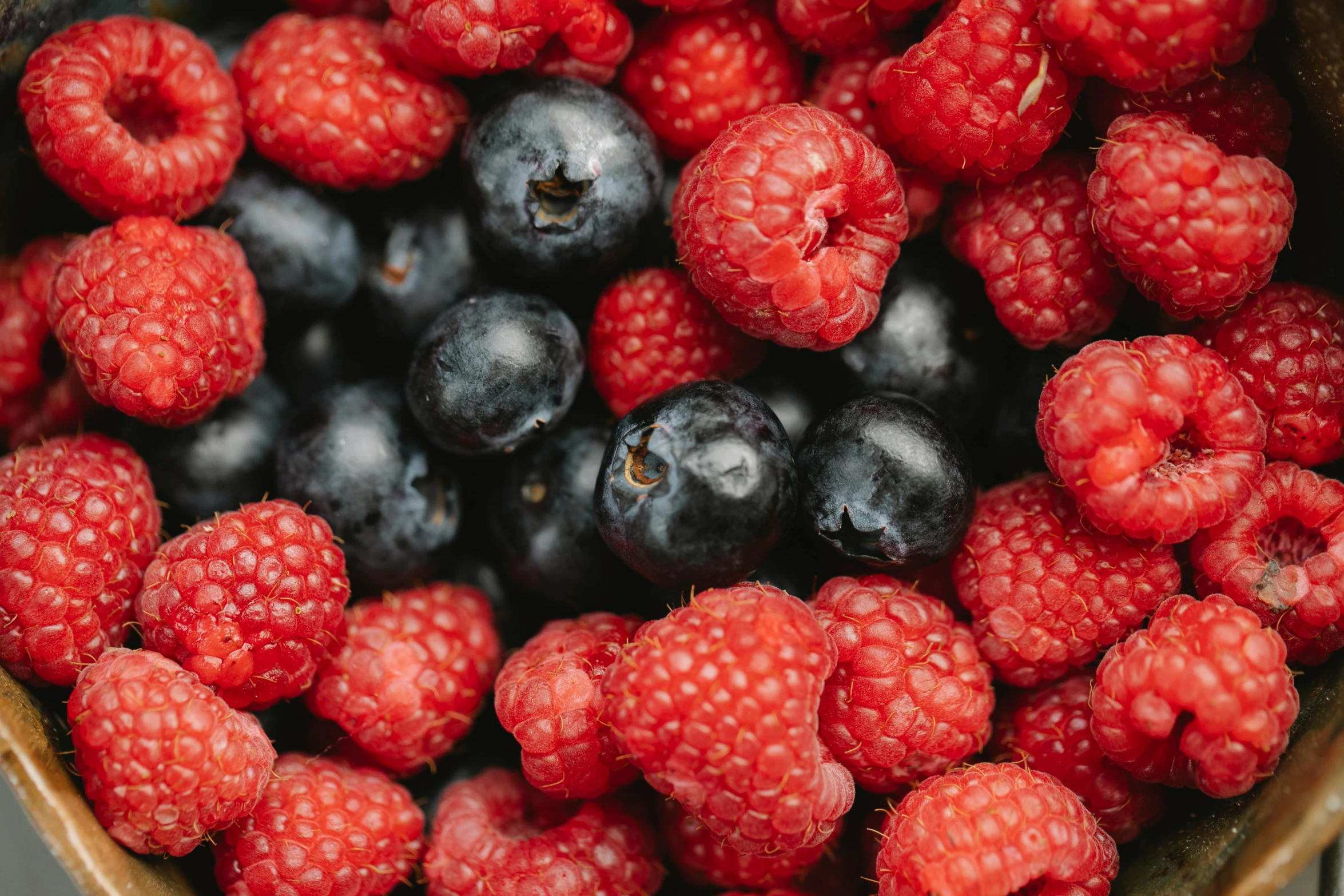 a bowl full of raspberries and blueberries, pexels, renaissance, avatar image, 🦩🪐🐞👩🏻🦳, 2 2 years old, professional